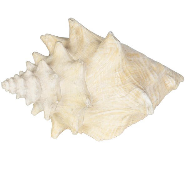 ppad072737.jpg